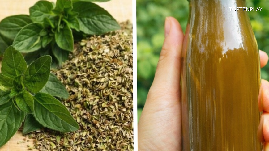 Image d'illustration © TopTenPlay EN