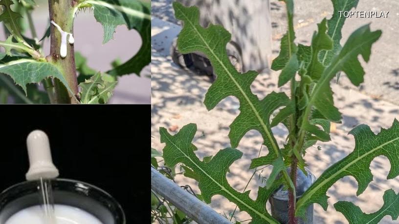 Image d'illustration © TopTenPlay EN