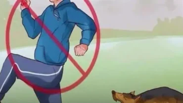 The Surprising Reason Your Dog Won’t Stop Chasing You (And What Vets Say You Should Never Do) The Surprising Reason Your Dog Won’t Stop Chasing You (And What Vets Say You Should Never Do)