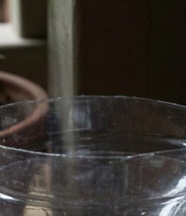 Mosquito Control Without Chemicals: How Sugar, Yeast and Water Create an Effective Homemade Trap