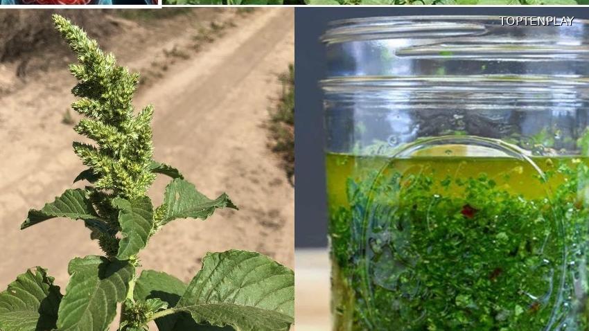 Image d'illustration © TopTenPlay EN