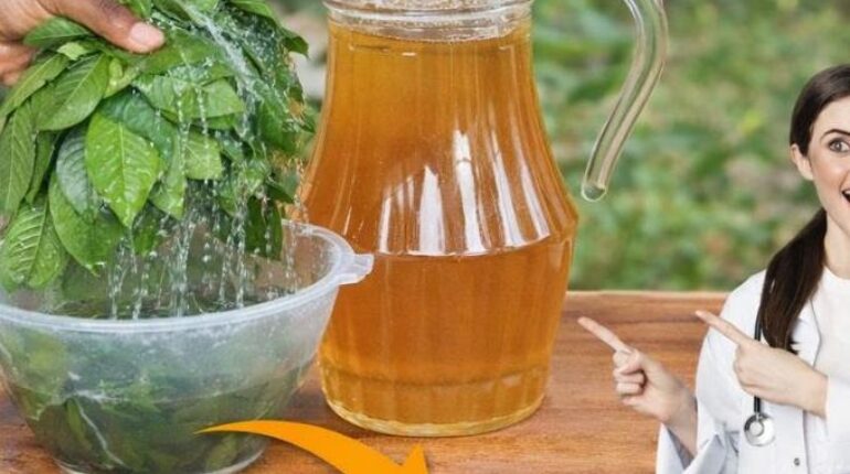 banana vinegar health benefits beetroot blood sugar cardiac wellness either alongside traditional medicine or as part of a daily routine to prevent illness. Guava Leaf Tea herbal teas for digestion immune support 