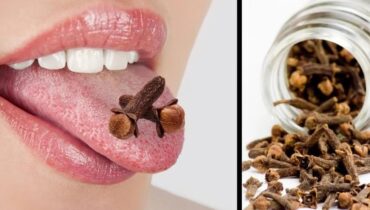 Clove Water: How This Traditional Infusion Supports Digestion, Immunity and Natural Detox Clove Water: How This Traditional Infusion Supports Digestion, Immunity and Natural Detox