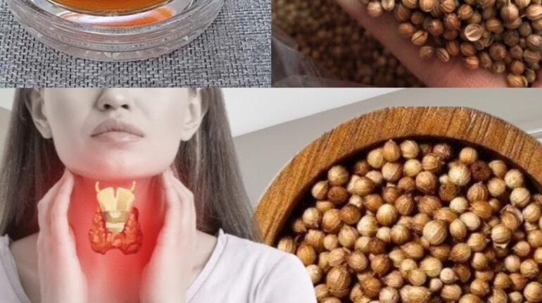 cardiac wellness colon health tips Coriander Seed Hormone Support natural remedies Thyroid Health 