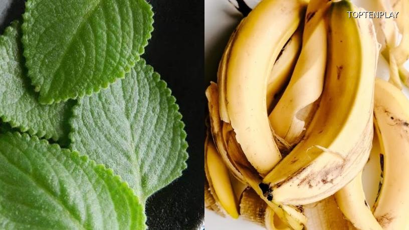 Image d'illustration © TopTenPlay EN