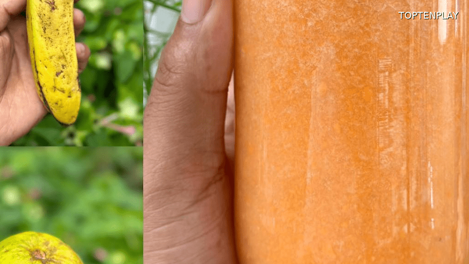 Image d'illustration © TopTenPlay EN