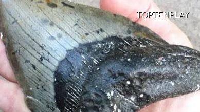 Image d'illustration © TopTenPlay EN