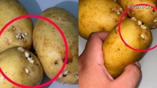 Image d'illustration © TopTenPlay EN