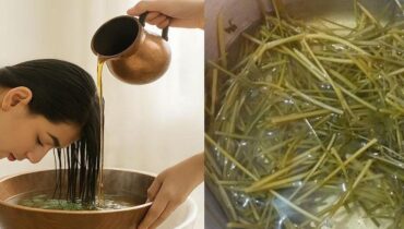 antioxidants Crabgrass Follicle Health hair loss heart disease natural hair growth remedy natural remedies Silica 