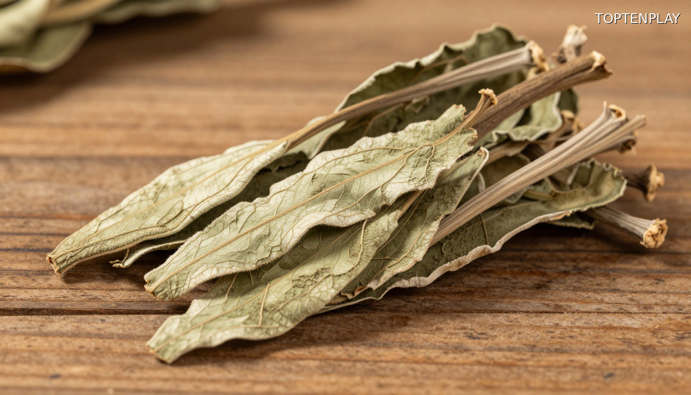 Image d'illustration © TopTenPlay EN