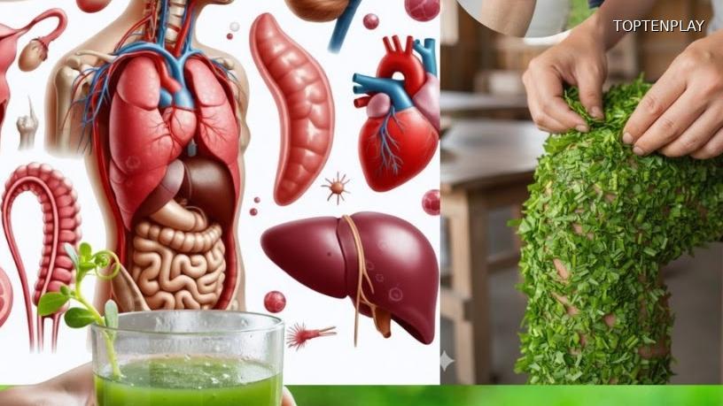 Image d'illustration © TopTenPlay EN