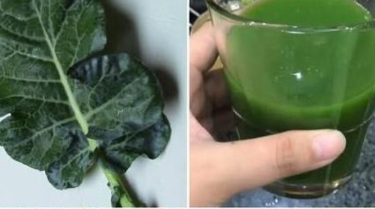 beetroot nutrition Broccoli classic Southern cooking clean luggage storage hotel Food Waste Healthy Eating vitamins 