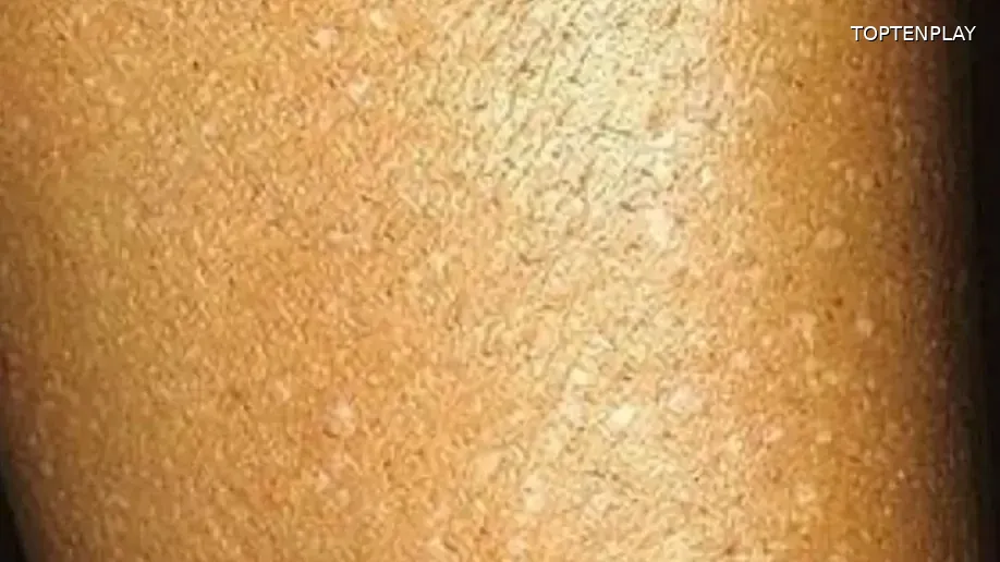 Image d'illustration © TopTenPlay EN