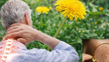 Dandelion Root Benefits: How This Common Weed Supports Liver Function, Digestion and Blood Sugar Balance