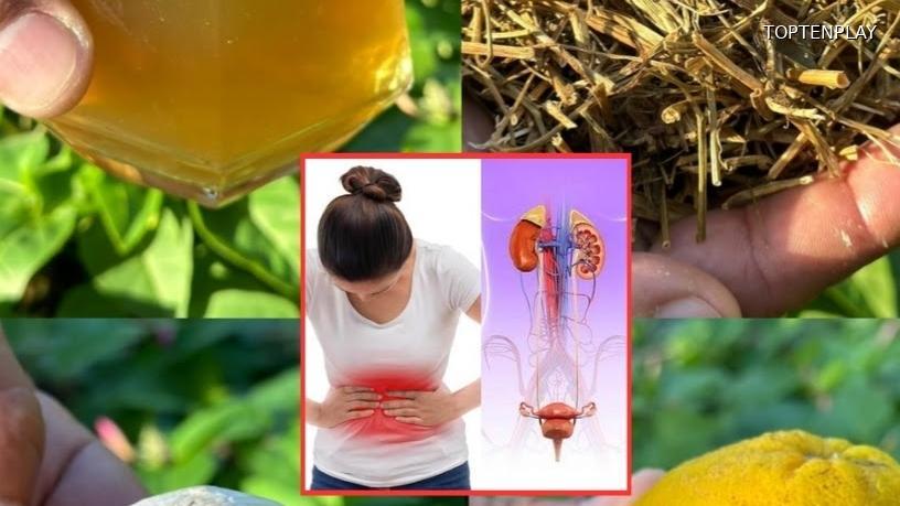 Image d'illustration © TopTenPlay EN