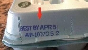 Egg Carton Codes Decoded: How the 3-Digit Julian Date Reveals Freshness Better Than Expiration Labels Egg Carton Codes Decoded: How the 3-Digit Julian Date Reveals Freshness Better Than Expiration Labels
