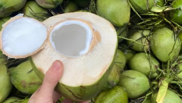 The shocking truth about coconut water your doctor never told you The shocking truth about coconut water your doctor never told you