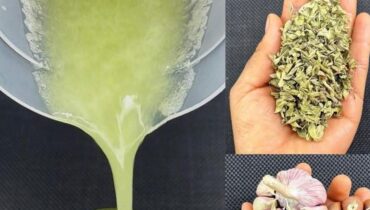 Chayote, Garlic & Oregano: The Morning Ritual Supporting Liver Function and Metabolic Balance