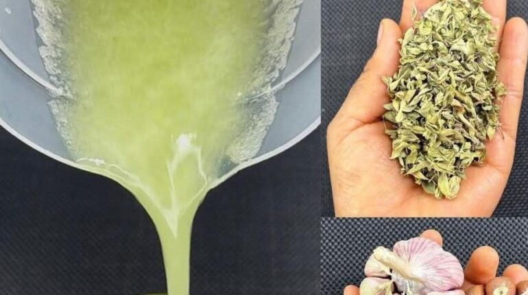 antifungal properties of garlic chayote drink recipe foods bad for liver health healthy lifestyle Metabolic Balance natural oregano tea natural remedies 