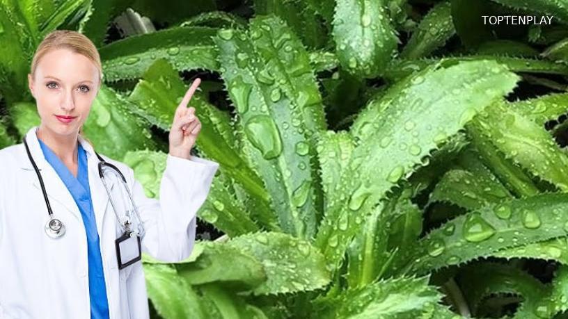 Image d'illustration © TopTenPlay EN