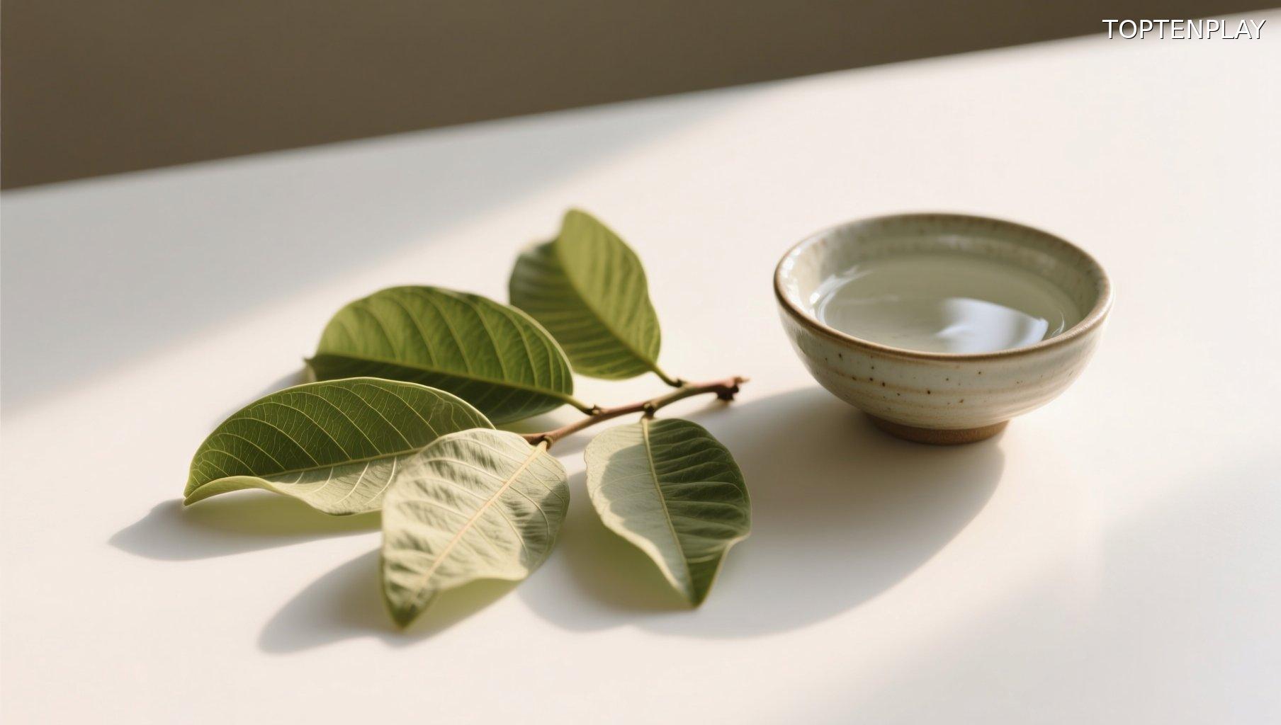 Image d'illustration © TopTenPlay EN