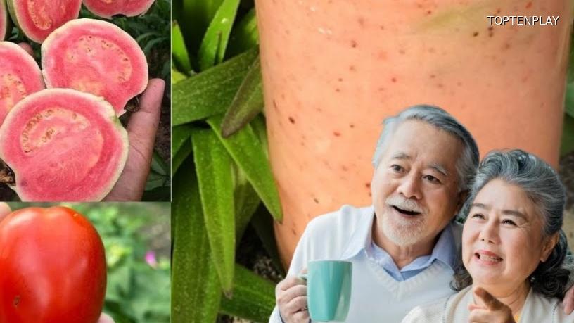 Image d'illustration © TopTenPlay EN