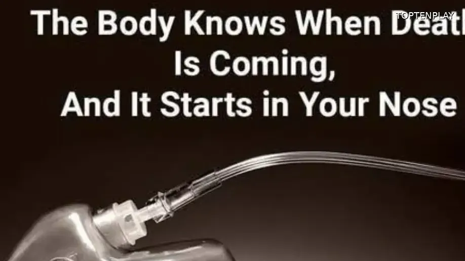 Image d'illustration © TopTenPlay EN