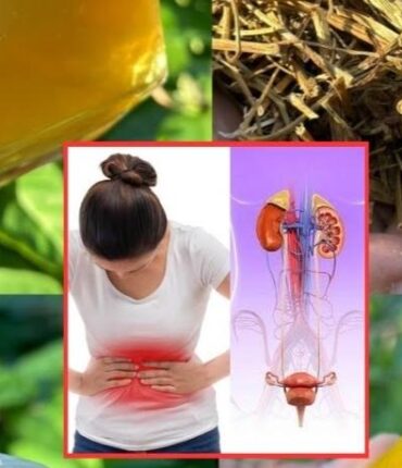 Blood Sugar Support: The 3-Ingredient Morning Infusion That Costs Less Than Your Coffee