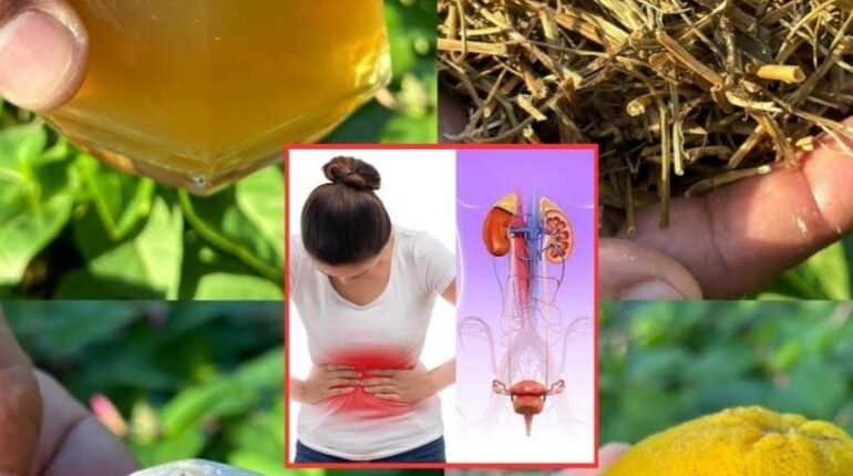 beetroot blood sugar cardiac wellness colon health tips Herbal Infusions Holistic Health natural remedies 