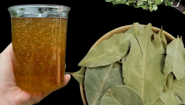 Avocado Leaves bay leaves for skin beetroot digestion issues cloves for immunity guava leaves antibacterial benefits Herbal Remedies Mango Leaves Metabolism natural health tonic 