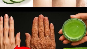 Cucumber for Anti-Aging: 5 Science-Backed Methods to Reduce Wrinkles with Silica, Vitamin C and Antioxidants