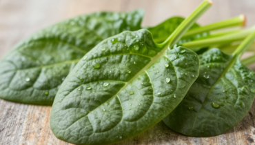 Spinach: doctors reveal how this vegetable acts on 7 systems of your body Spinach: doctors reveal how this vegetable acts on 7 systems of your body