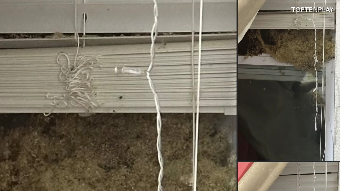 Image d'illustration © TopTenPlay EN