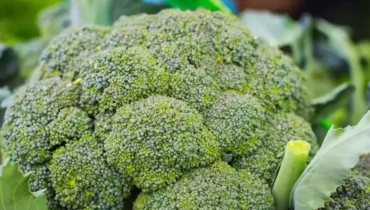 Broccoli digestive health Goitrogens Iodine Raw Vegetables Thyroid Health vitamin K2 