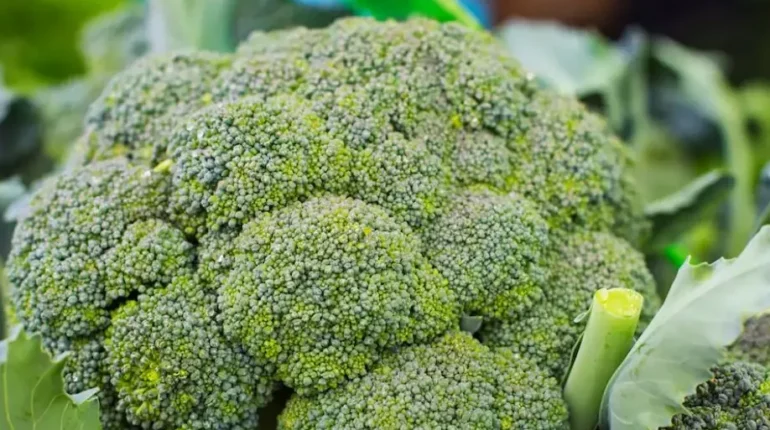 Broccoli digestive health Goitrogens Iodine Raw Vegetables Thyroid Health vitamin K2 
