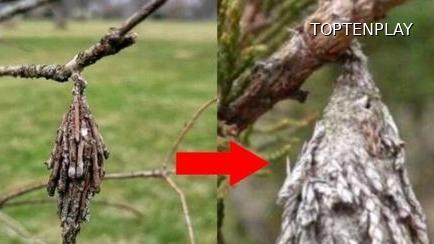 Image d'illustration © TopTenPlay EN