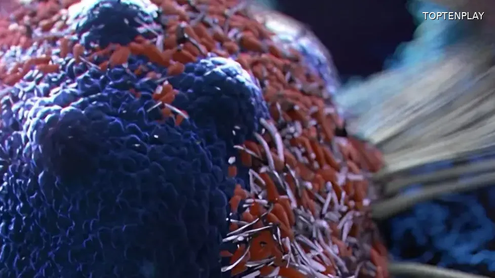 Image d'illustration © TopTenPlay EN