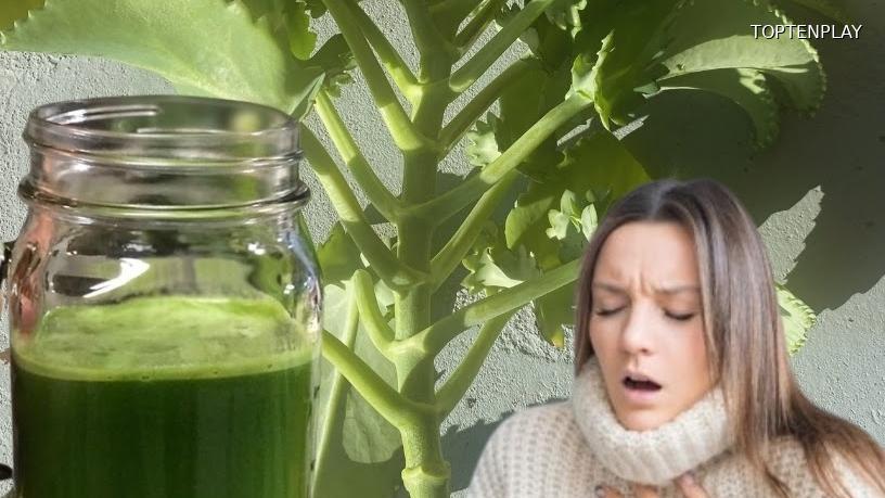 Image d'illustration © TopTenPlay EN