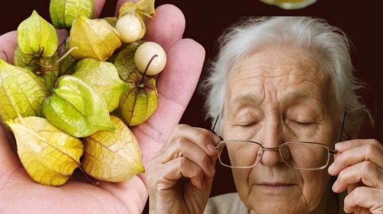 antioxidants beetroot blood sugar beetroot nutrition Brain Health cloves for immunity Goldenberry Superfoods 