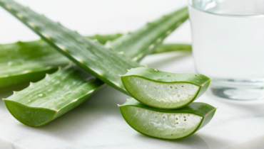 Aloe vera: 17 scientific benefits of homemade juice and the recipe to prepare it without risk