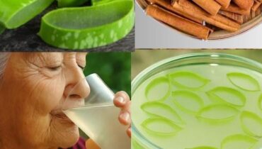 Aloe Vera and Cinnamon: How This Traditional Pairing Supports Vision, Digestion, and Cellular Health Aloe Vera and Cinnamon: How This Traditional Pairing Supports Vision, Digestion, and Cellular Health