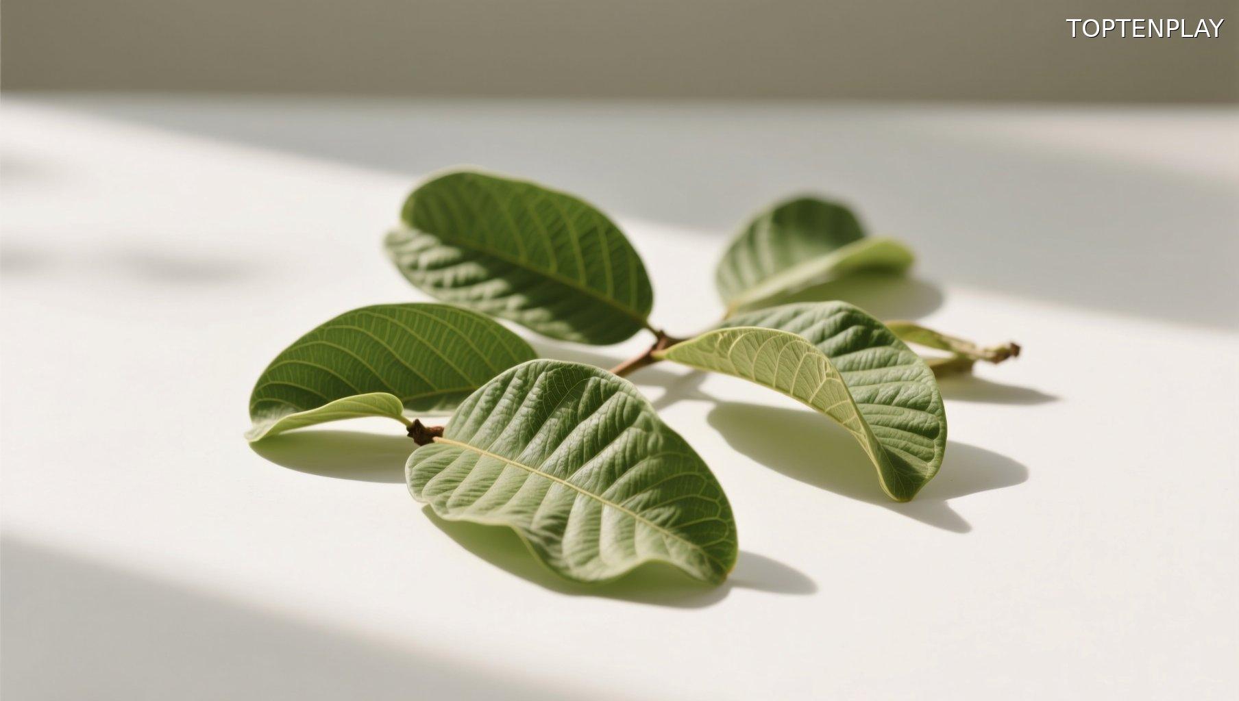 Image d'illustration © TopTenPlay EN