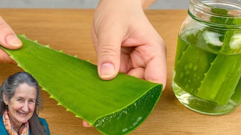 aloe vera and amla oil beetroot digestion issues cloves for immunity garlic honey glaze ginger natural remedies Skin Health 