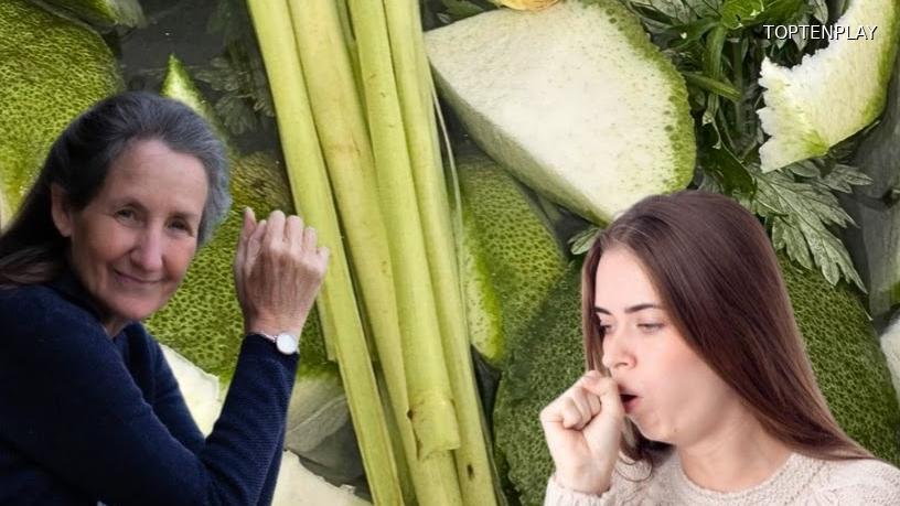 Image d'illustration © TopTenPlay EN