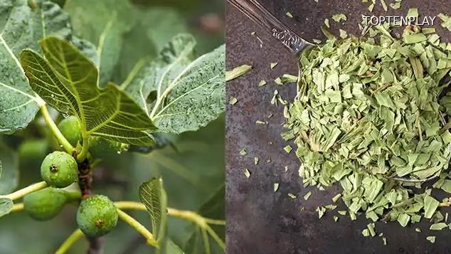 Image d'illustration © TopTenPlay EN