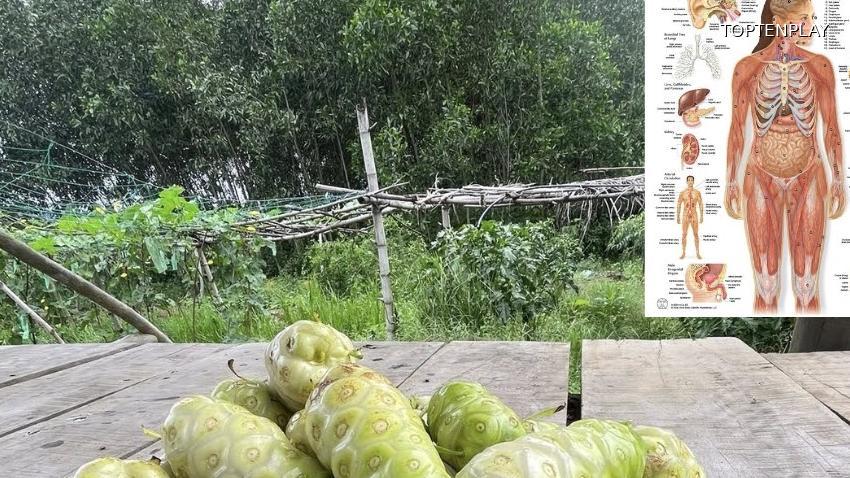 Image d'illustration © TopTenPlay EN