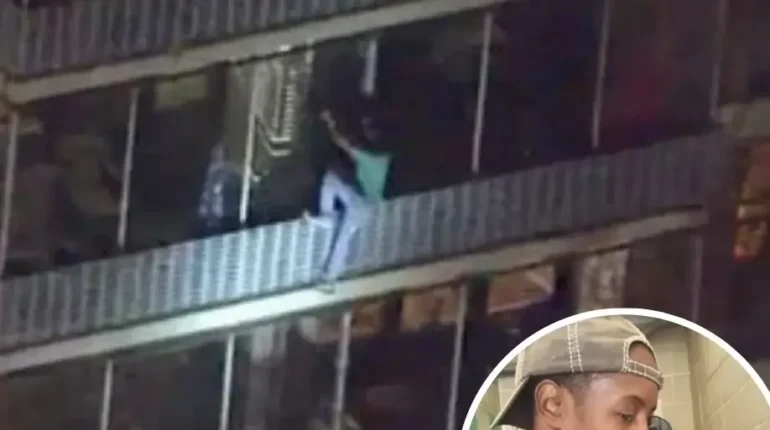 abandoned pregnancy survival child’s courage saves family Determination Euphorbia hirta is more than greenery—it’s a plant of resilience and healing family love and regret Fire Rescue Heroism 