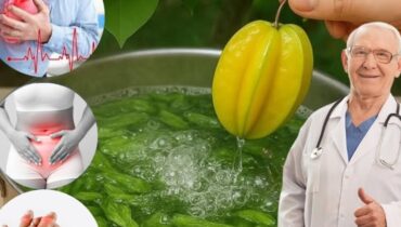 At 47, She Drinks This Twice Daily: “I Wish I’d Known About Starfruit Leaves Sooner…” At 47, She Drinks This Twice Daily: “I Wish I’d Known About Starfruit Leaves Sooner…”