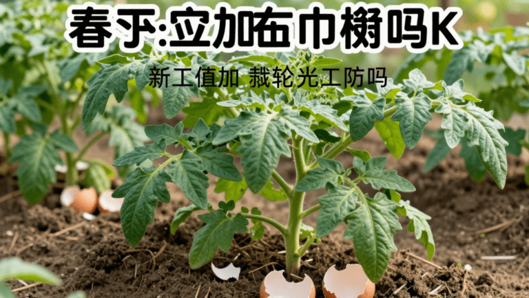 01fd8796-0c30-47fb-8365-a9a40104fb84