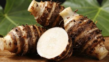 Taro: how this millennial tuber improves heart health and revolutionizes sustainable agriculture Taro: how this millennial tuber improves heart health and revolutionizes sustainable agriculture